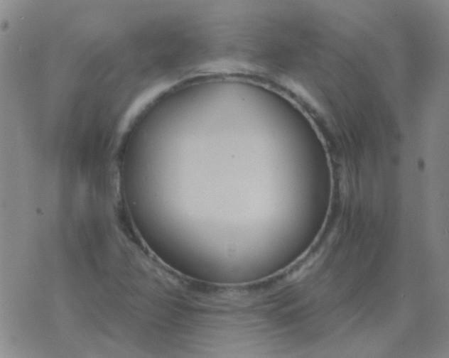 X0000076391358200610202054