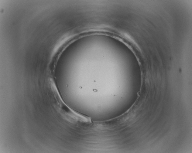 X0000076391360200610202054