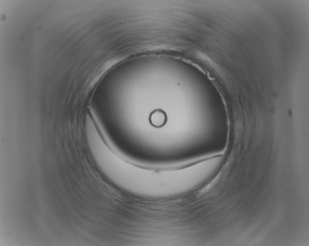 X0000076391361200610202054