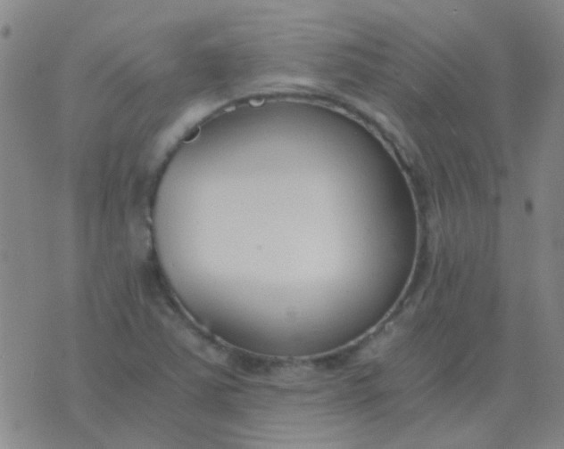 X0000076391363200610202054