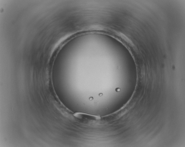 X0000076391364200610202054