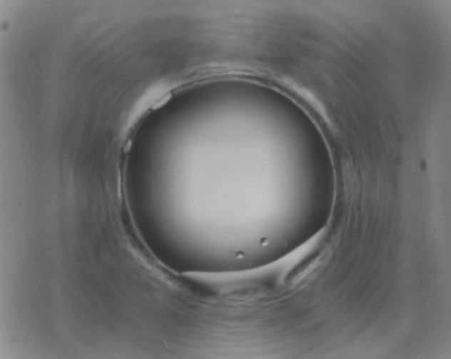 X0000076391365200610202054