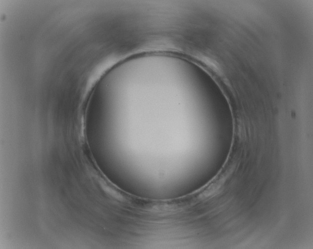 X0000076391366200610202054