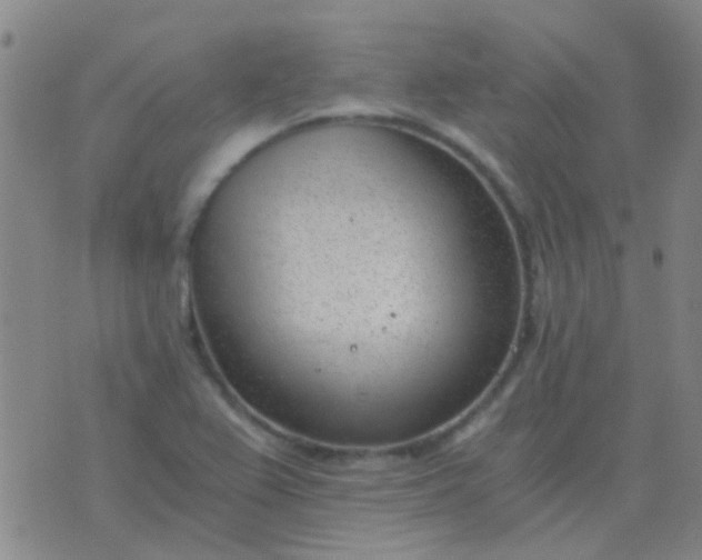 X0000076391367200610202054