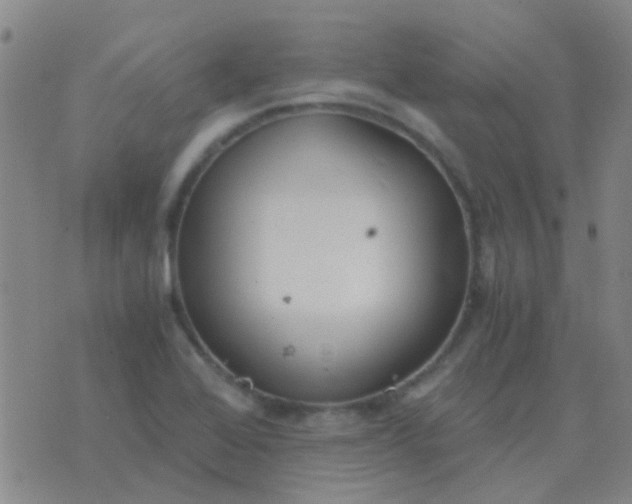 X0000076391368200610202054