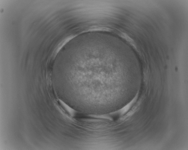 X0000076391369200610202054