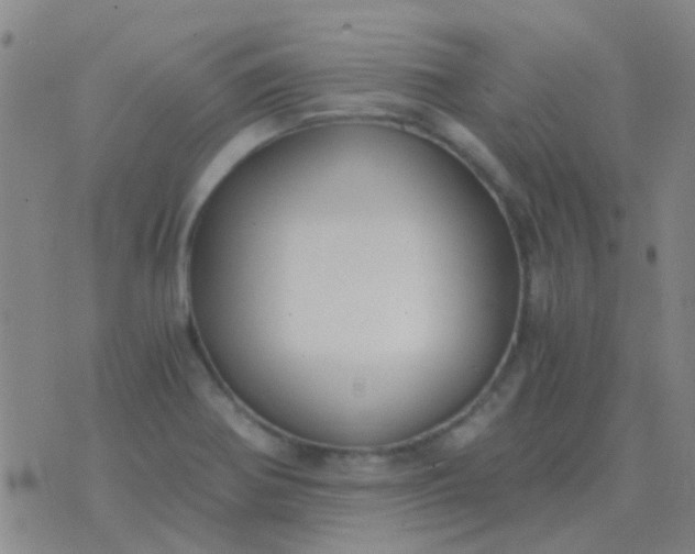 X0000076391370200610202054