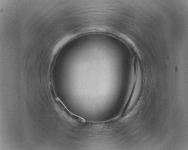 X0000076391373200610202054