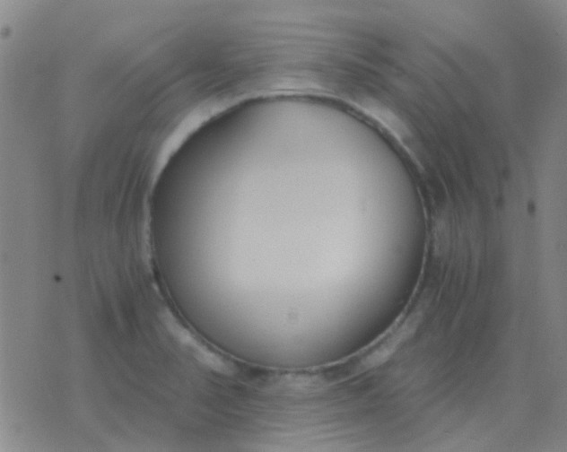 X0000076391374200610202054