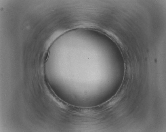 X0000076391375200610202053