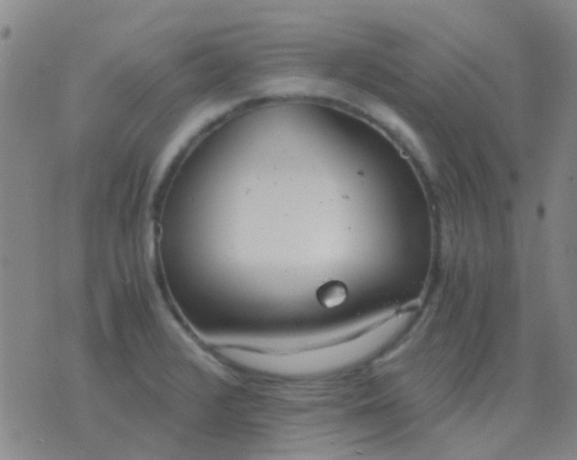 X0000076391376200610202053