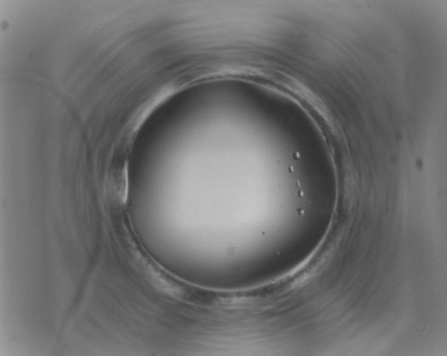 X0000076391377200610202053