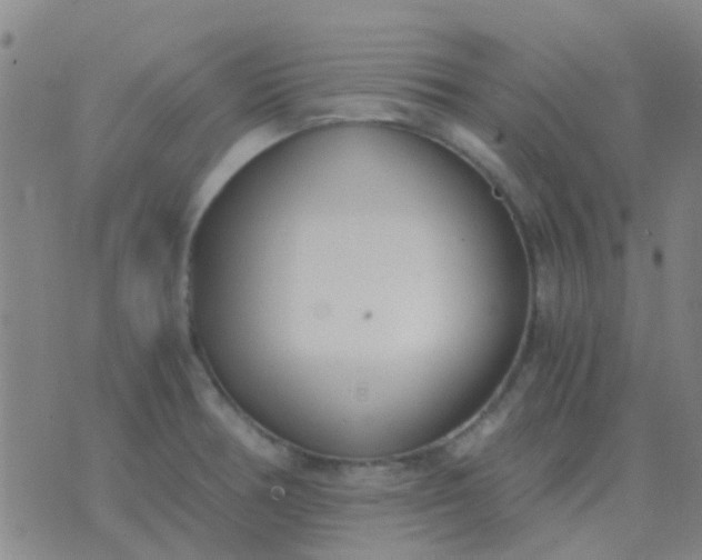 X0000076391378200610202053