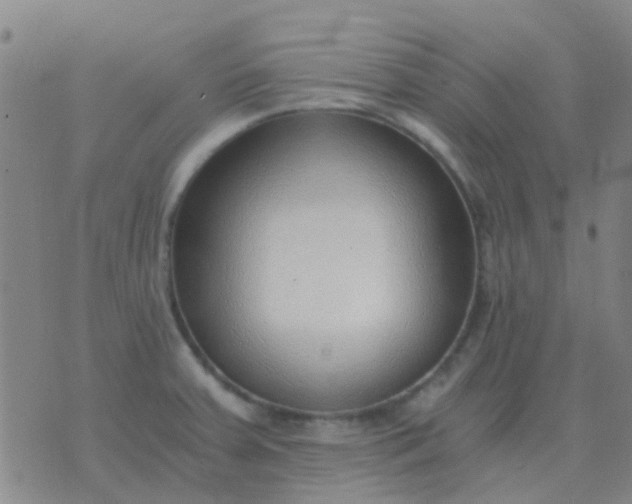 X0000076391379200610202053