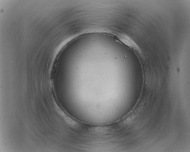 X0000076391380200610202053