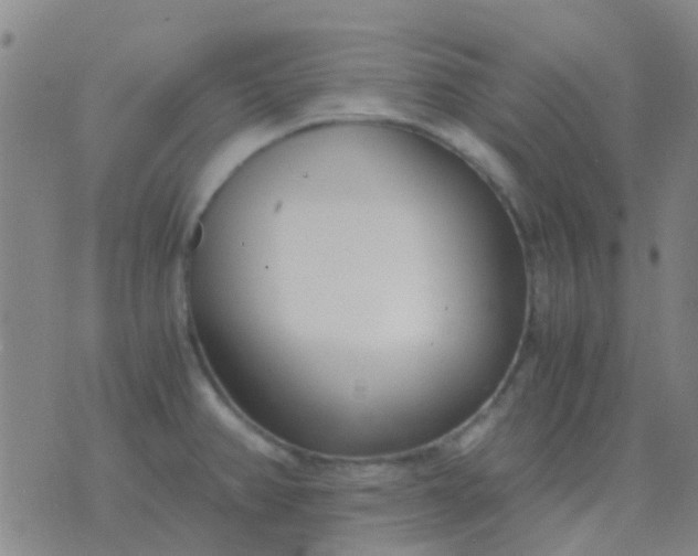 X0000076391382200610202053