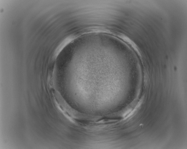 X0000076391385200610202053