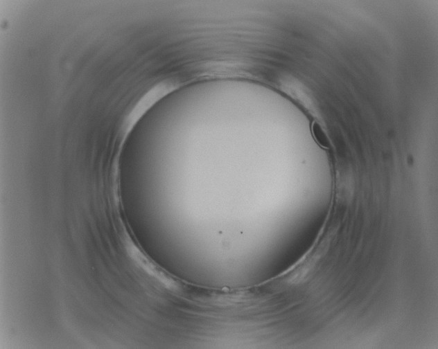 X0000076391386200610202053