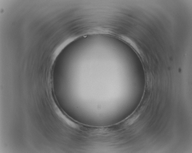 X0000076391387200610202053