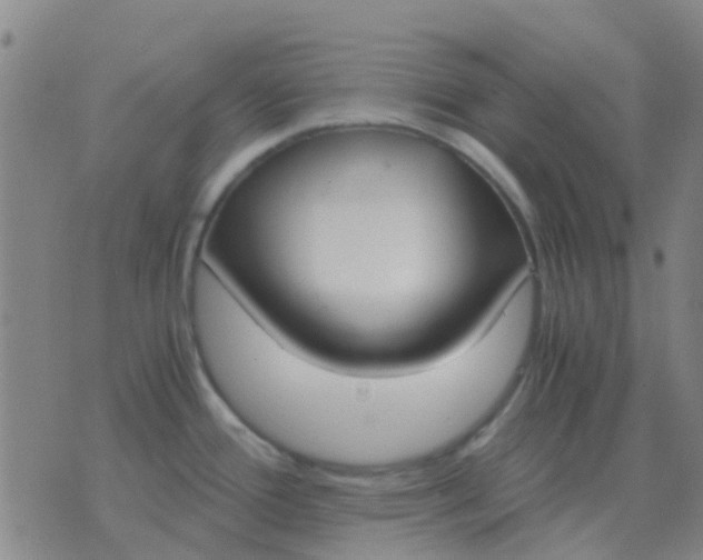 X0000076391388200610202053