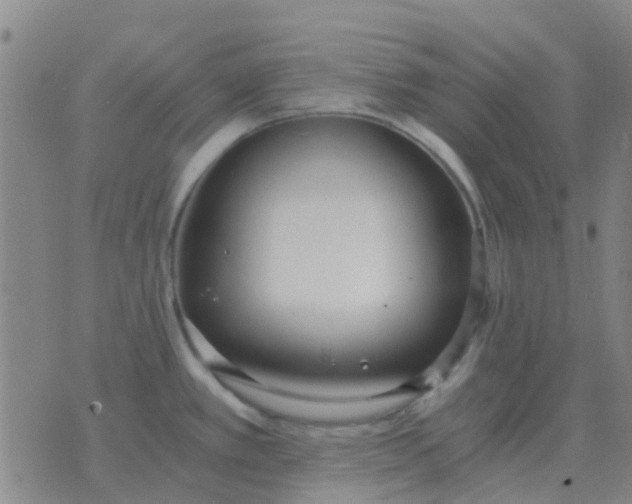 X0000076391389200610202053