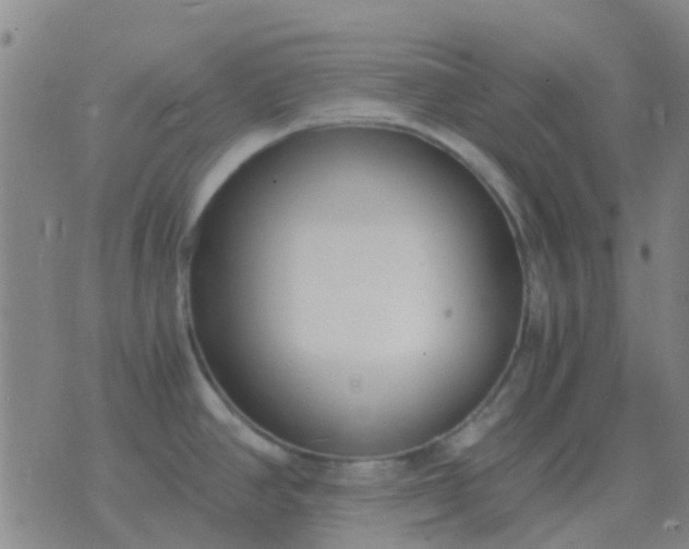 X0000076391390200610202053