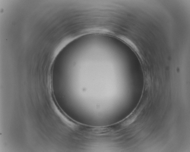 X0000076391391200610202053