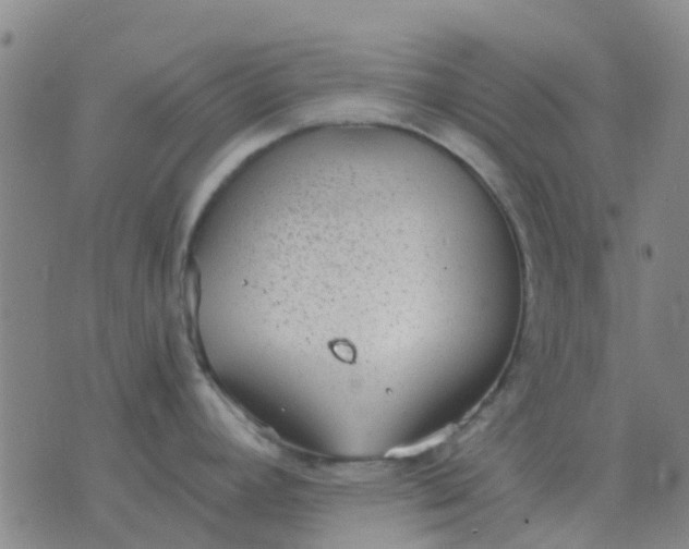 X0000076391392200610202053