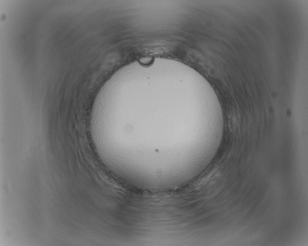 X0000076391393200610202052