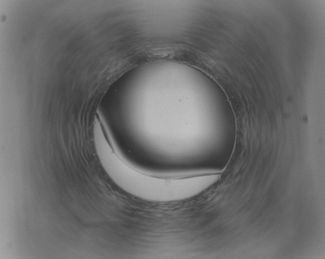 X0000076391394200610202052