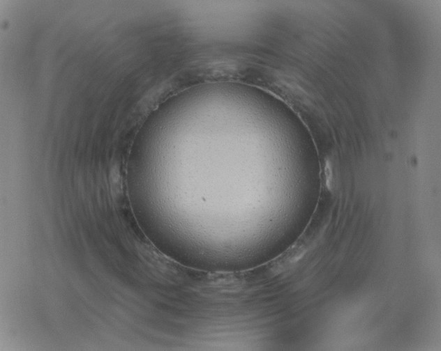 X0000076391395200610202052