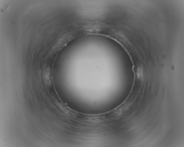 X0000076391396200610202052