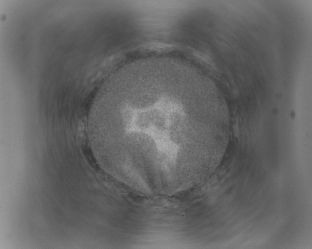 X0000076391397200610202053