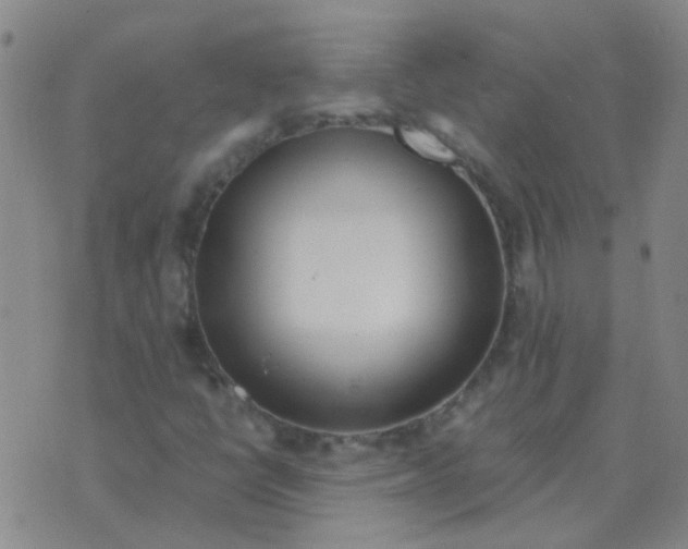 X0000076391398200610202053