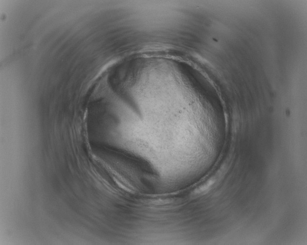 X0000076391401200610202053