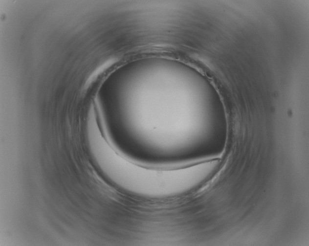 X0000076391402200610202053