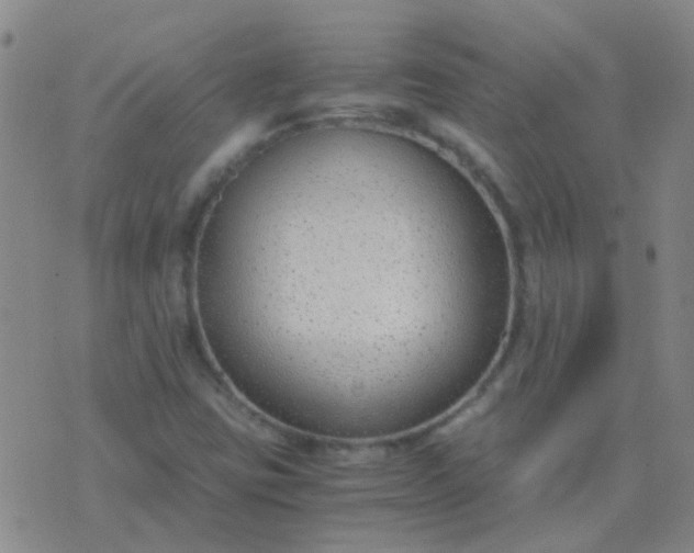 X0000076391403200610202053