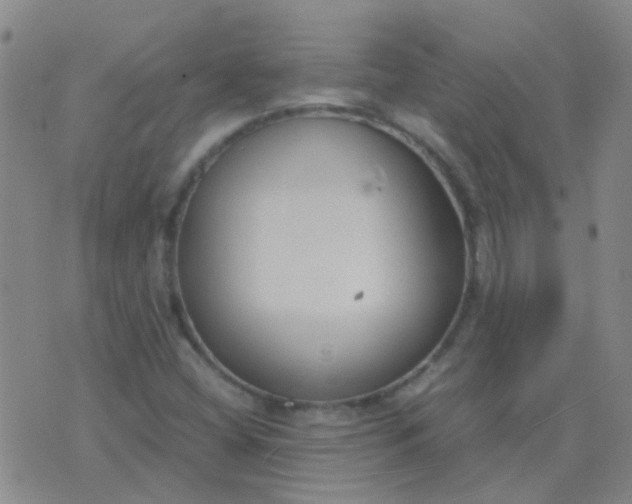 X0000076391404200610202053