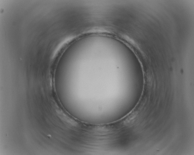 X0000076391408200610202053