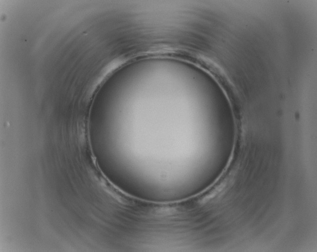 X0000076391409200610202053