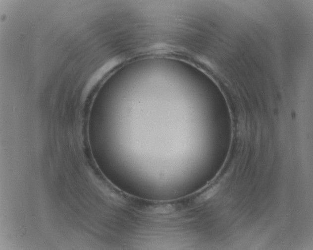 X0000076391410200610202053