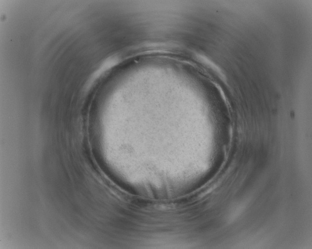 X0000076391411200610202053