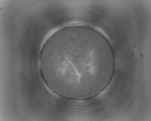 X0000076391413200610202053