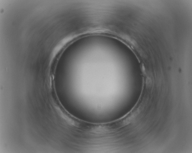 X0000076391414200610202053