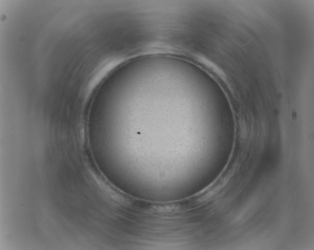 X0000076391415200610202053