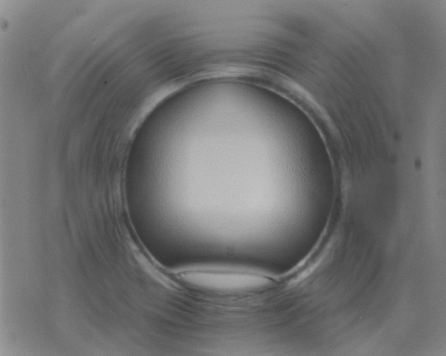 X0000076391417200610202053