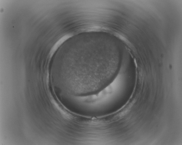 X0000076391418200610202053