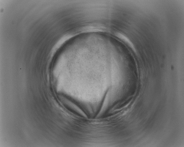 X0000076391419200610202053