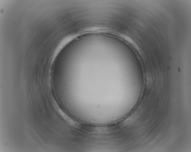 X0000076391421200610202053