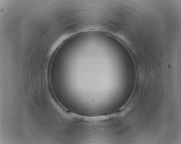 X0000076391422200610202053